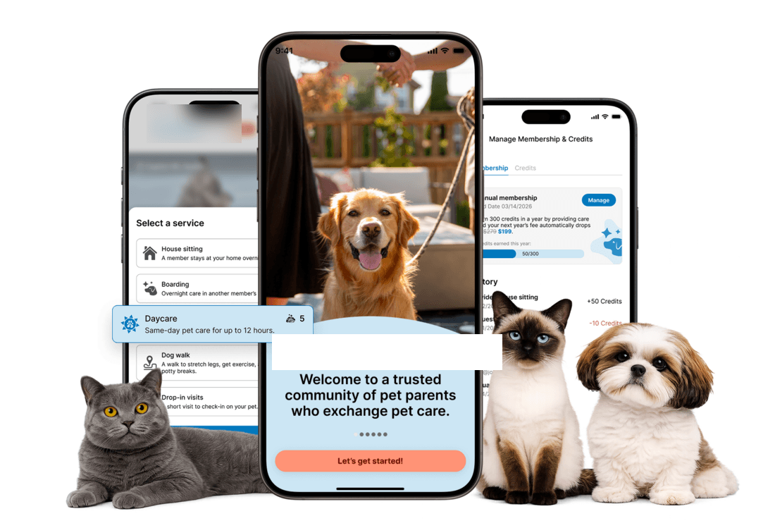 PetSitters App solution