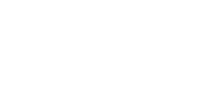 Business App Development