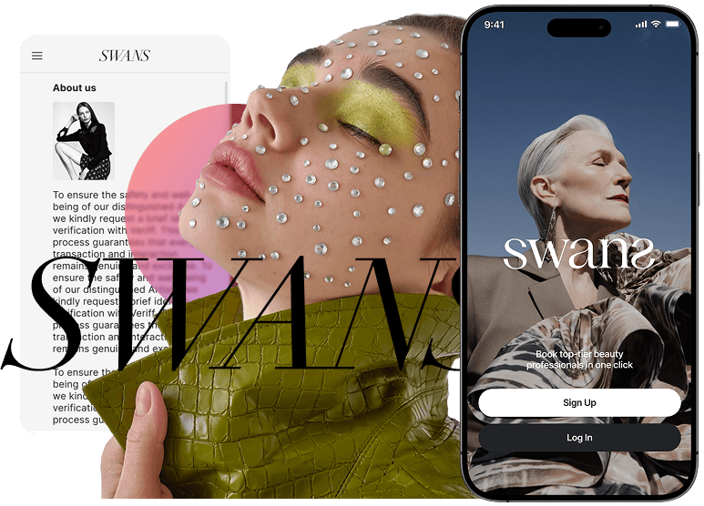 SWANS project screenshot